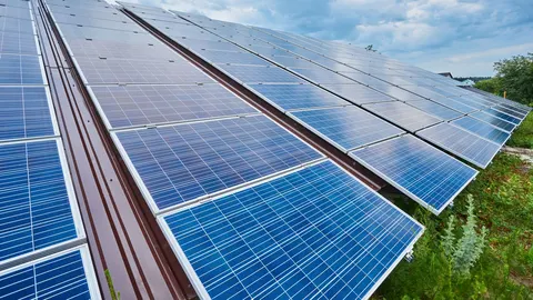 Вертикальні сонячні панелі виявилися ефективнішими за дахові у ранкові та вечірн