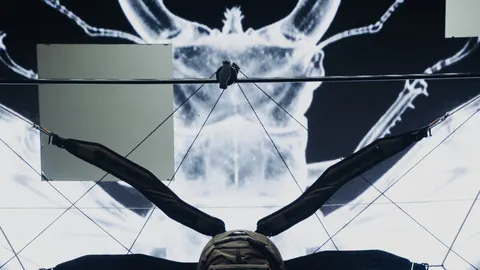 RIOTDIVISION презентує капсулу COLEOPTERA SYSTEM, натхненну жуками